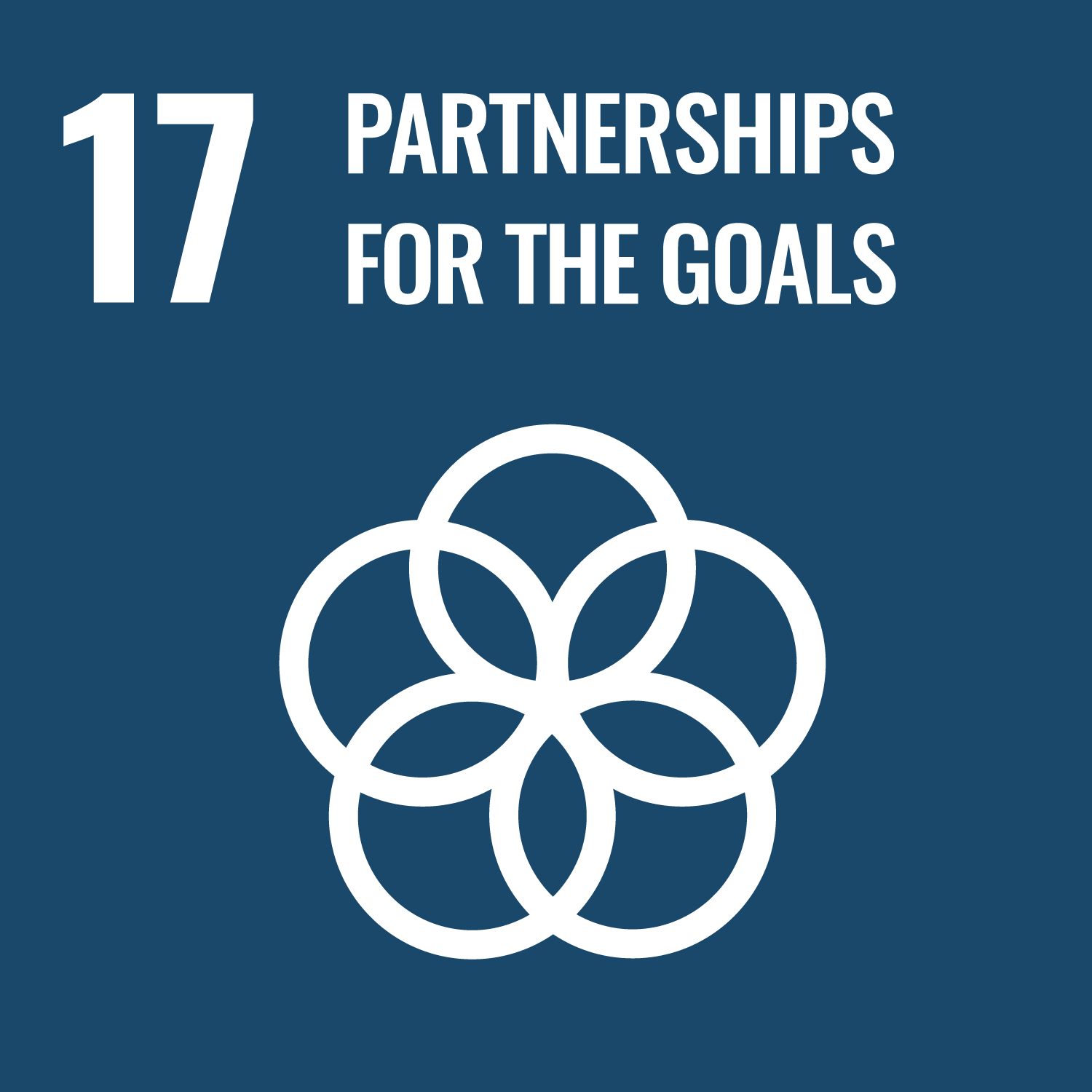 UNSDG-17 - Partnerships